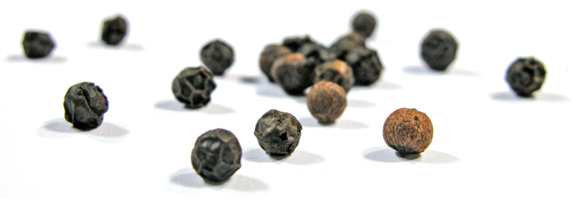 pepper-corns-1554846-1919x1131